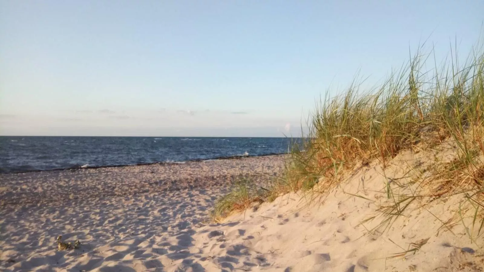 FeWo Schulzenhufe-Gebiete Sommer 5 km