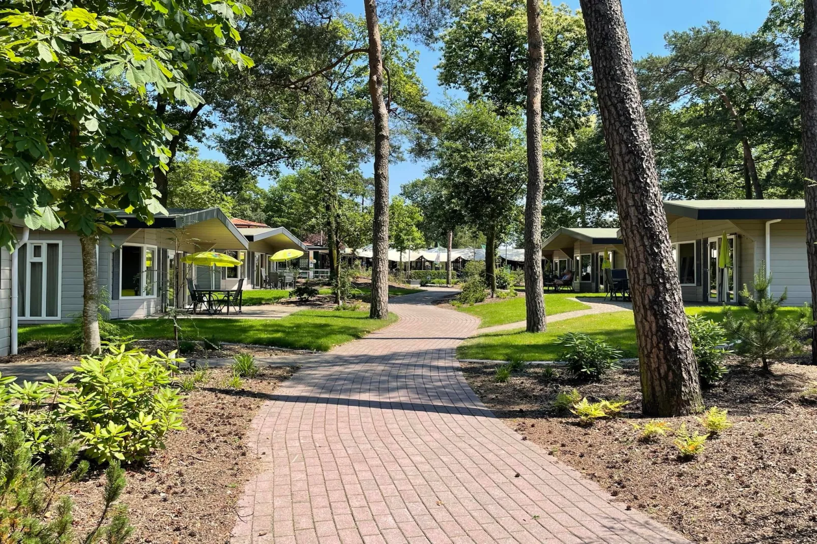 Bungalow Chalet+ | 2 - 4 people-Areas summer 1km