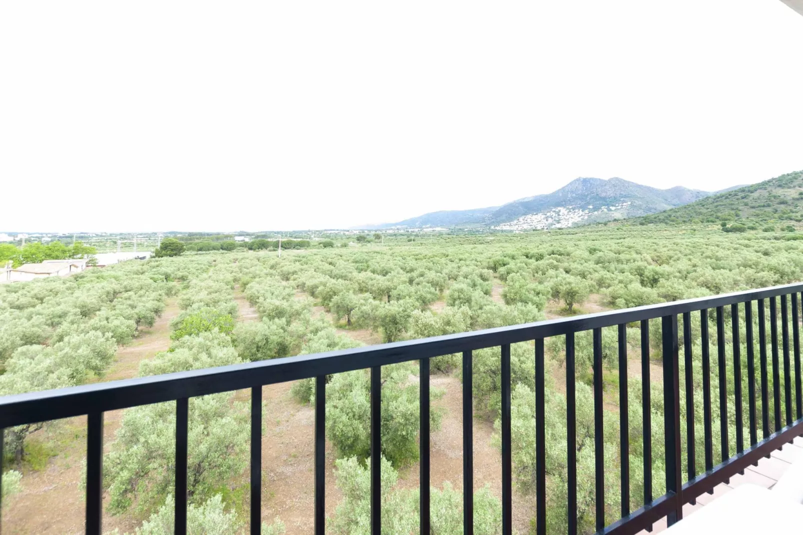 1141 MAS OLIVA con Piscina-Terrace balcony