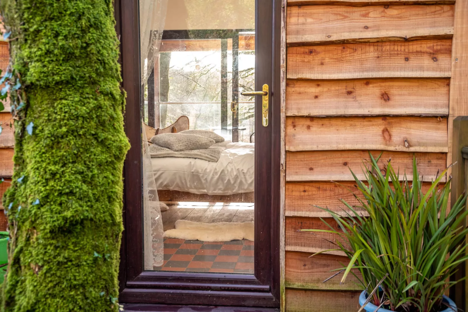 Yeworthy Eco-Treehouse-Außenbereich