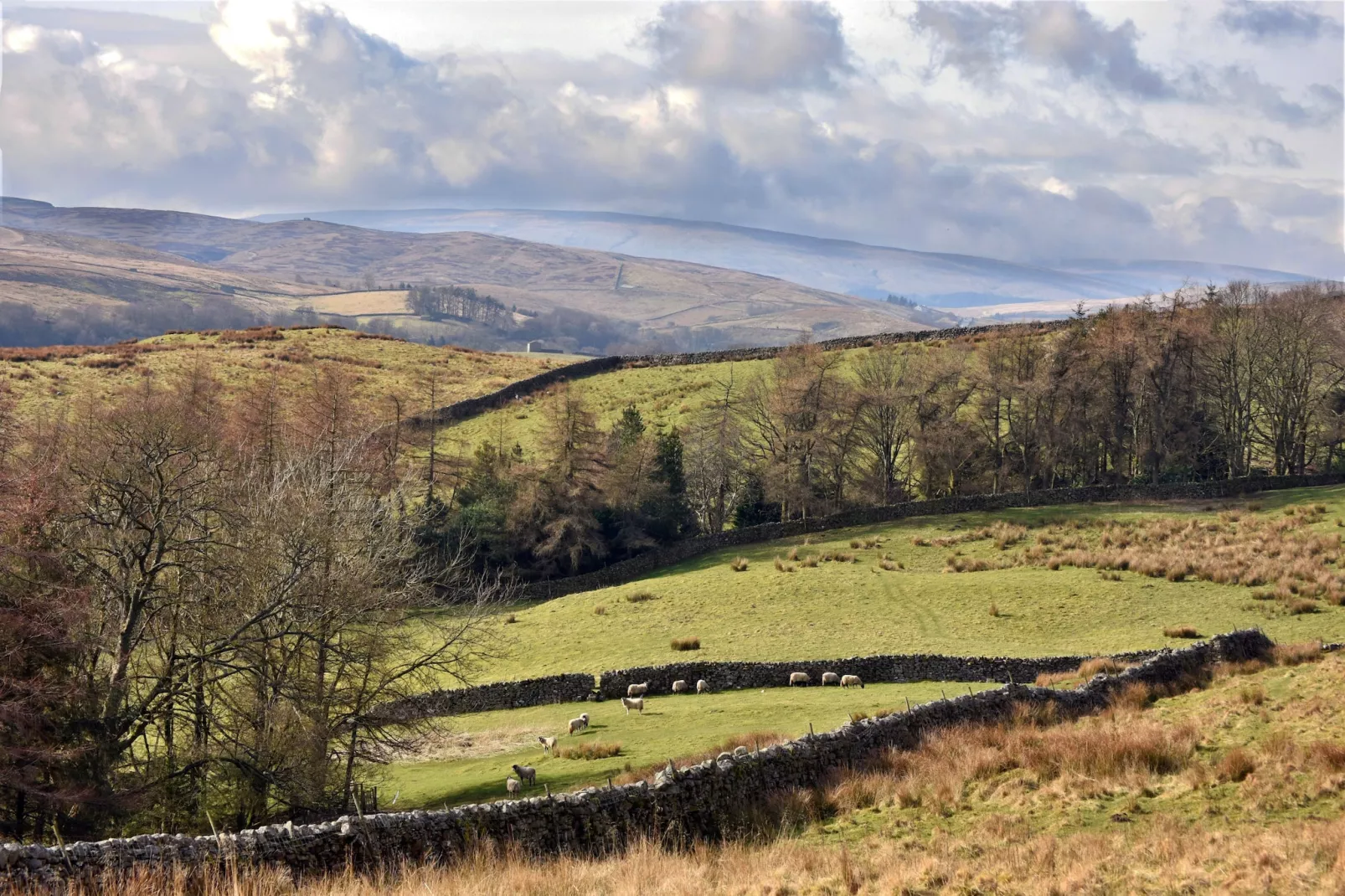 Dales Barn Top-Areas summer 5km