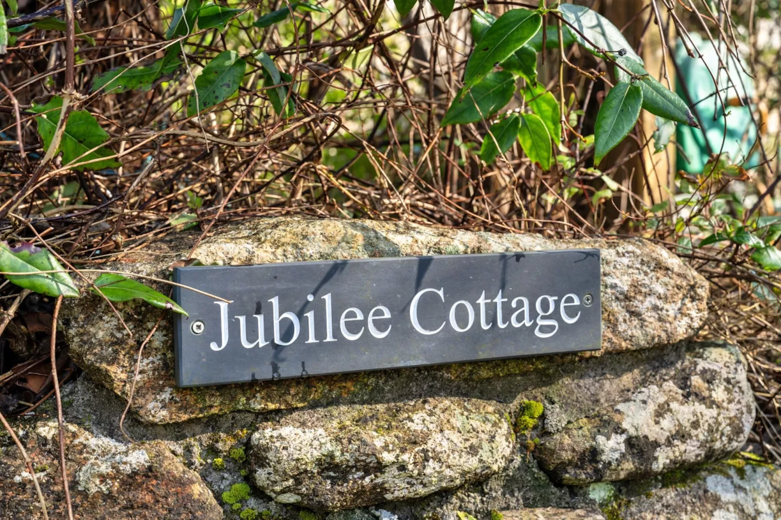 Jubilee Cottage at Bodmin Moor-Outdoor