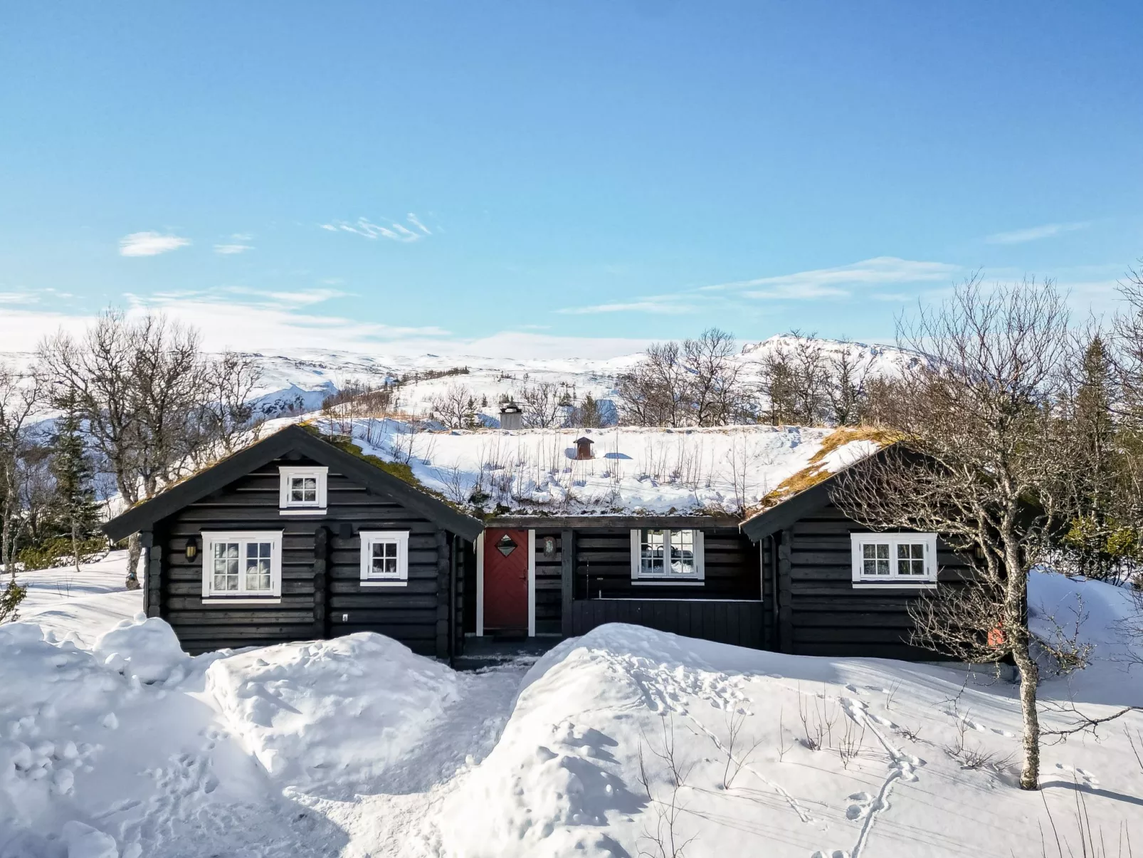 Fjälldrömmen-Dehors