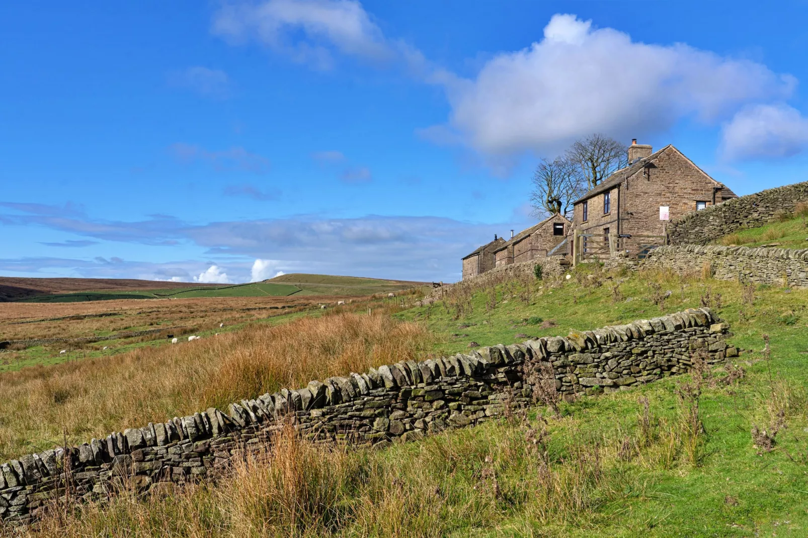 The Cottages Collection at Blackclough Farm-Gardens summer
