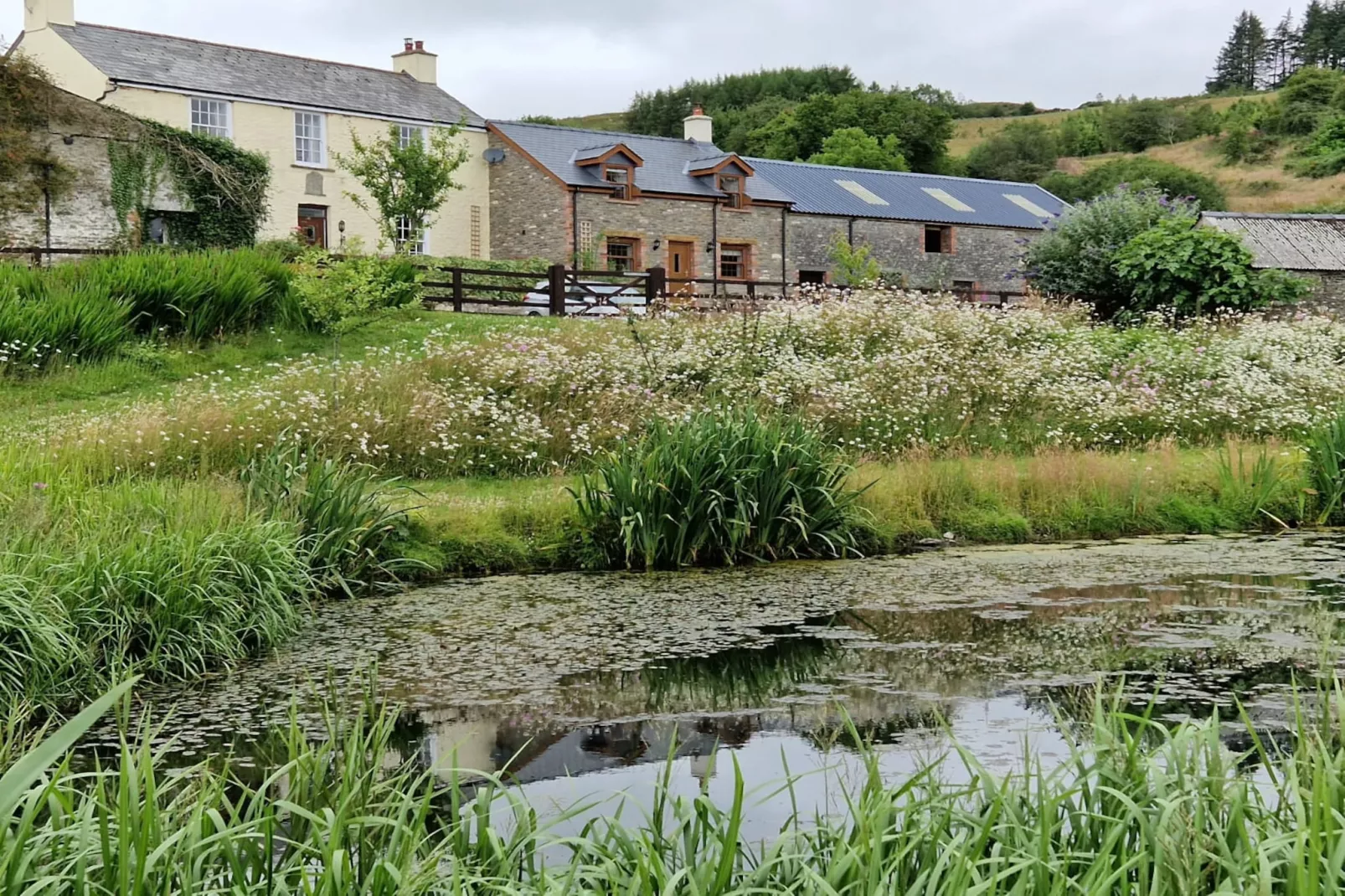 Coygen Cottage-Outdoor