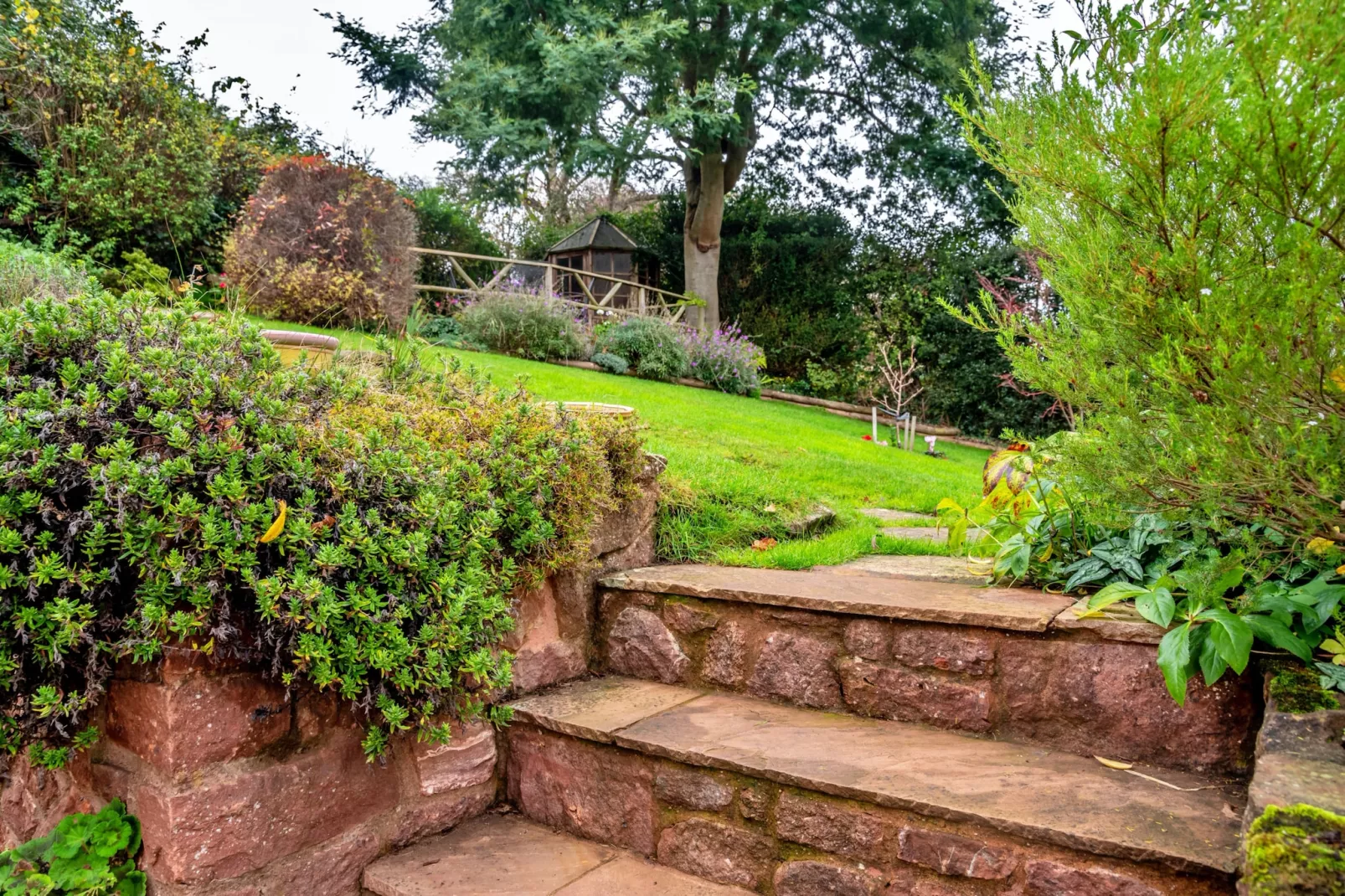 Little Haven-Terrace