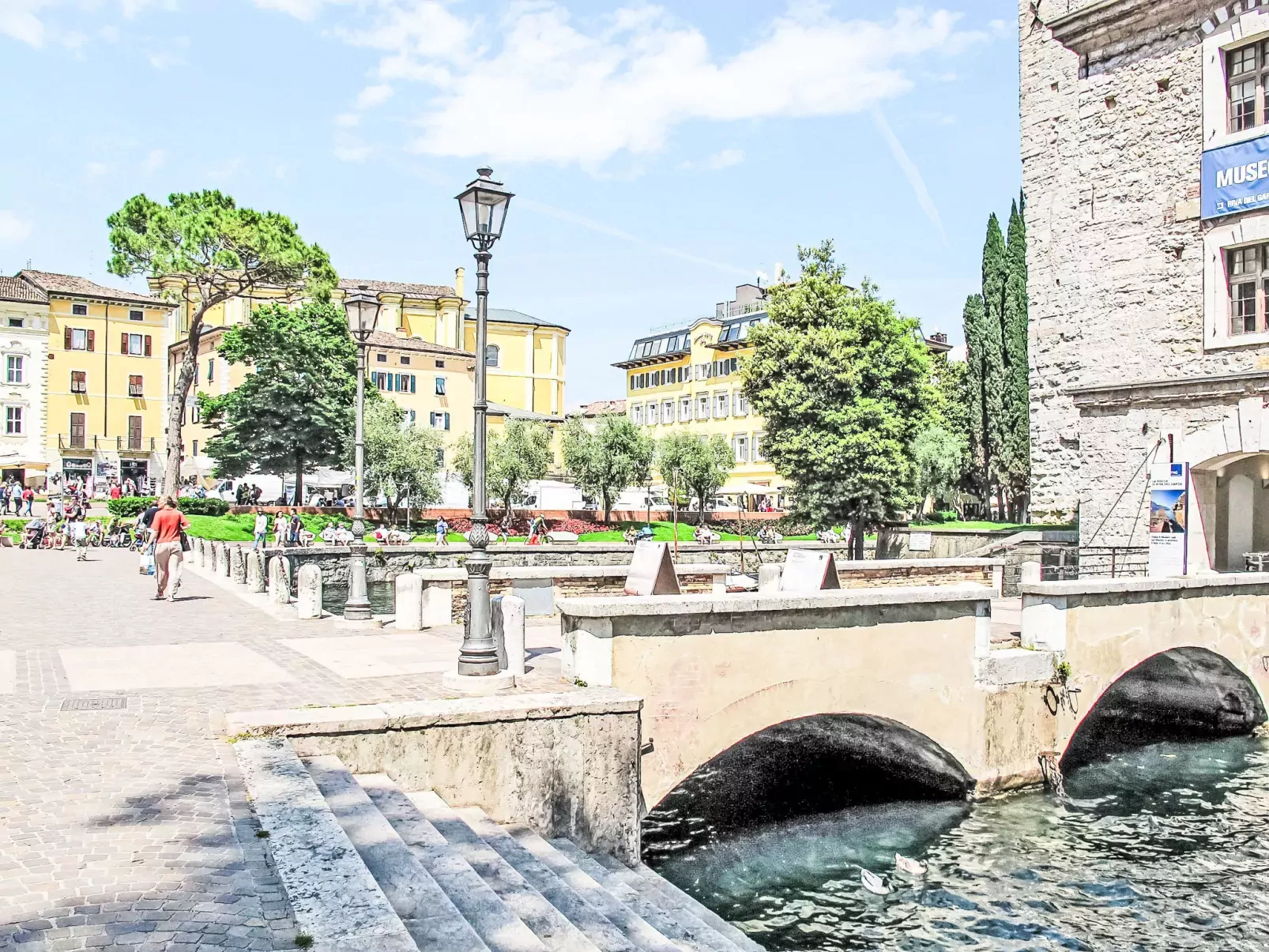 Calicantus - Nespolo-Area