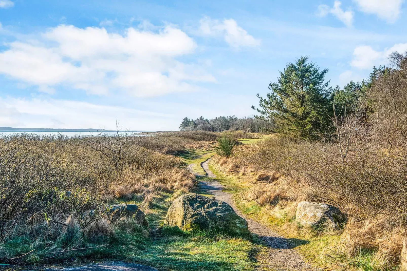 5 Personen Ferienhaus in Thyholm-By Traum-Aussicht