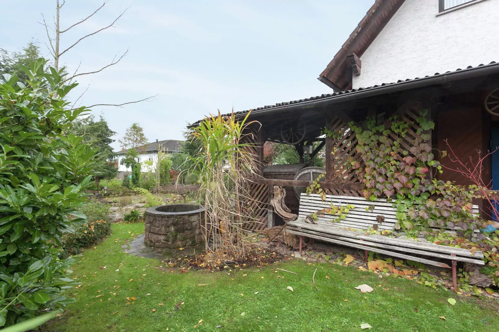Severin-Jardin d'été