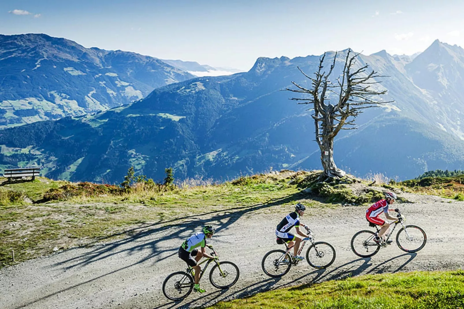 Haus Bergheim - 24 Personen-Areas summer 5km