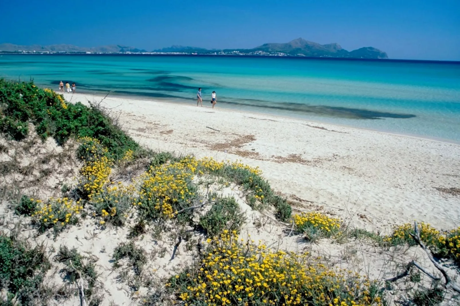 Al Pujol-Areas summer 5km