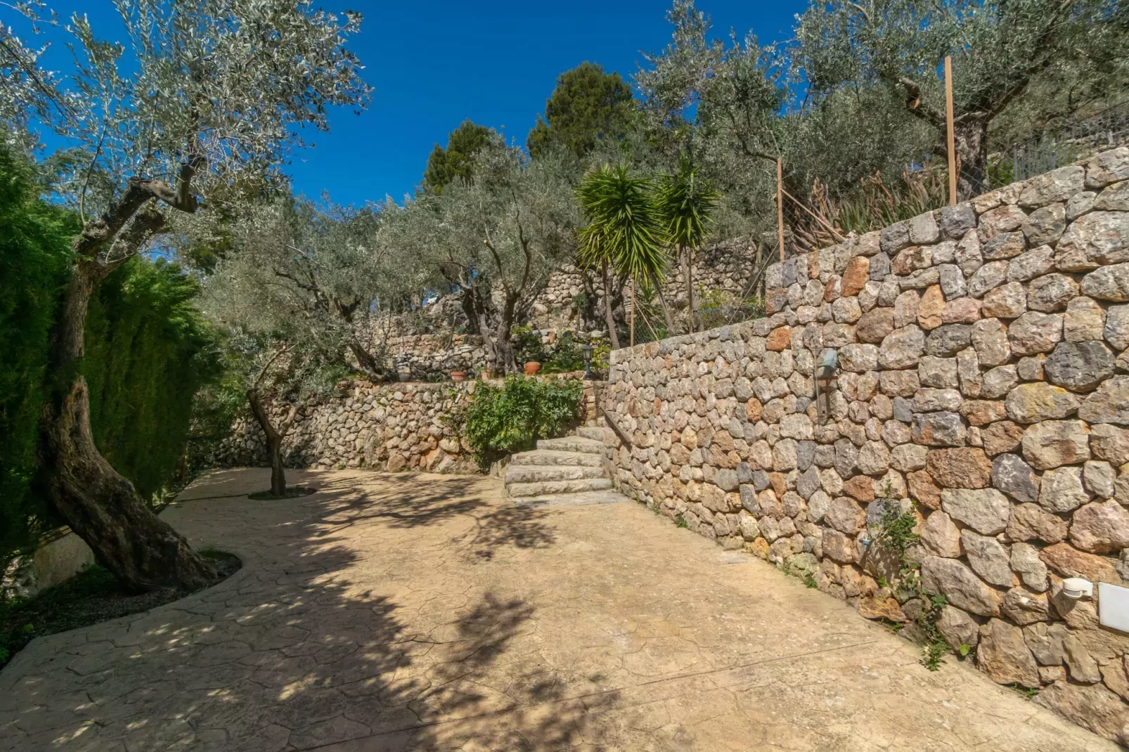 Es Coll D'en Pastor-Gardens summer