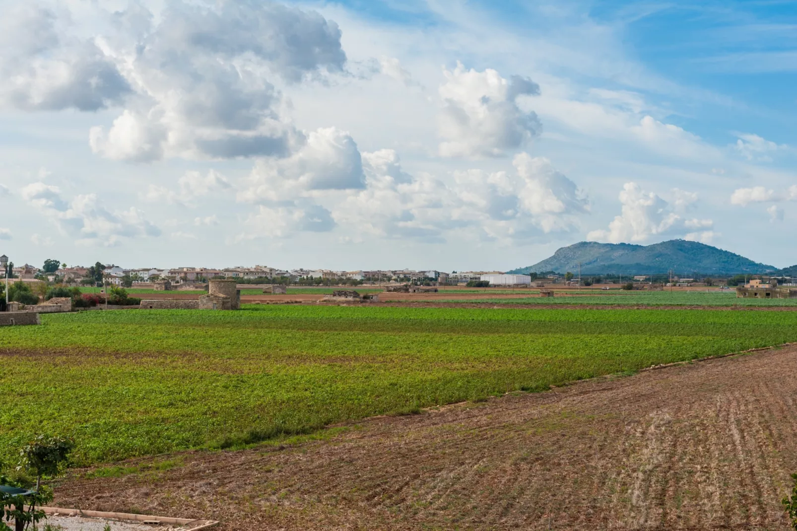 Can PuÇa (sa Pobla)-Image-tags.