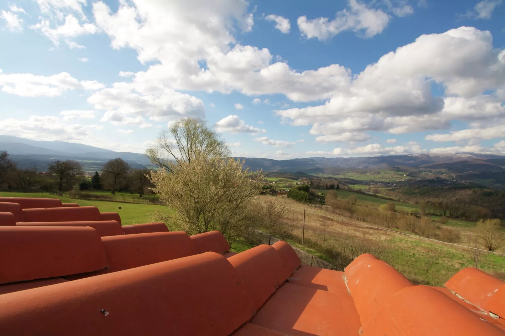 Il Castagno-View summer