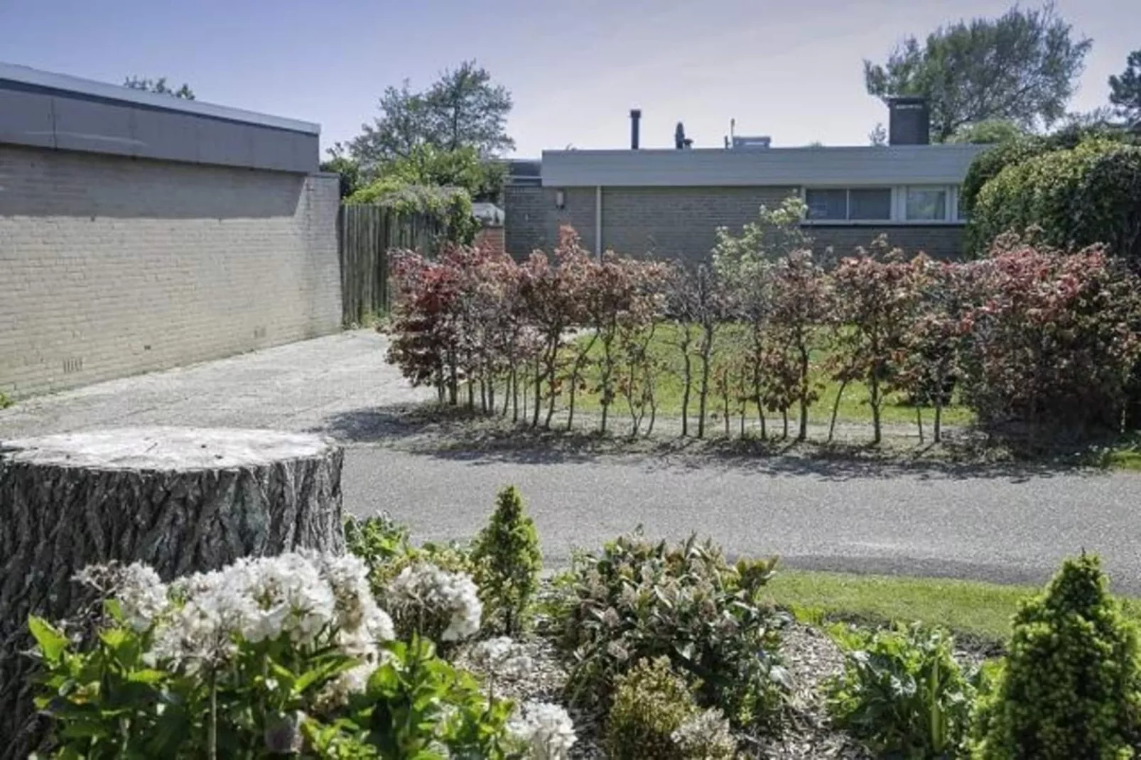 De Schelp 14-Gardens summer