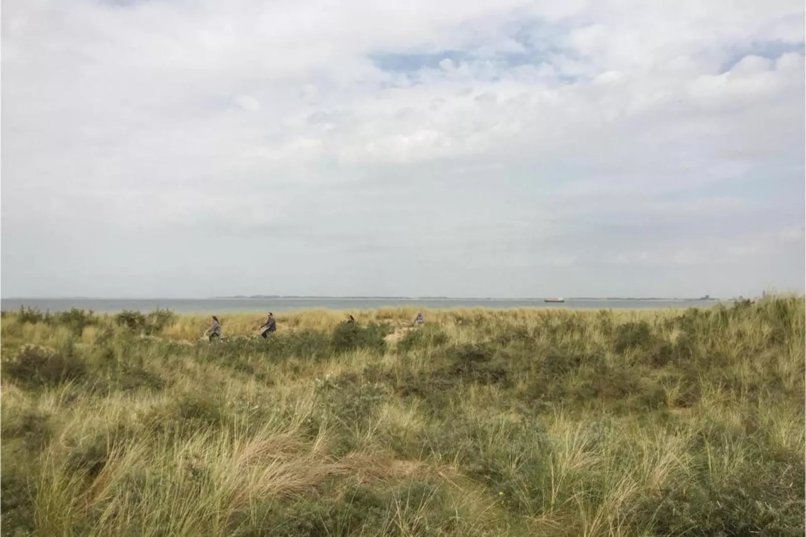 Het Platte Putje - Huisdier - nr 2-Areas summer 20km