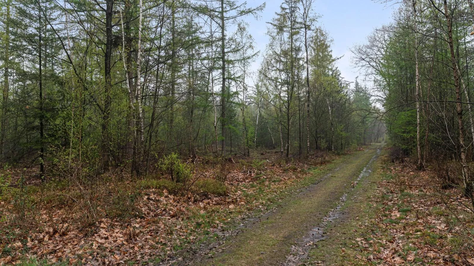De Havik-Gebiete Sommer 1 km