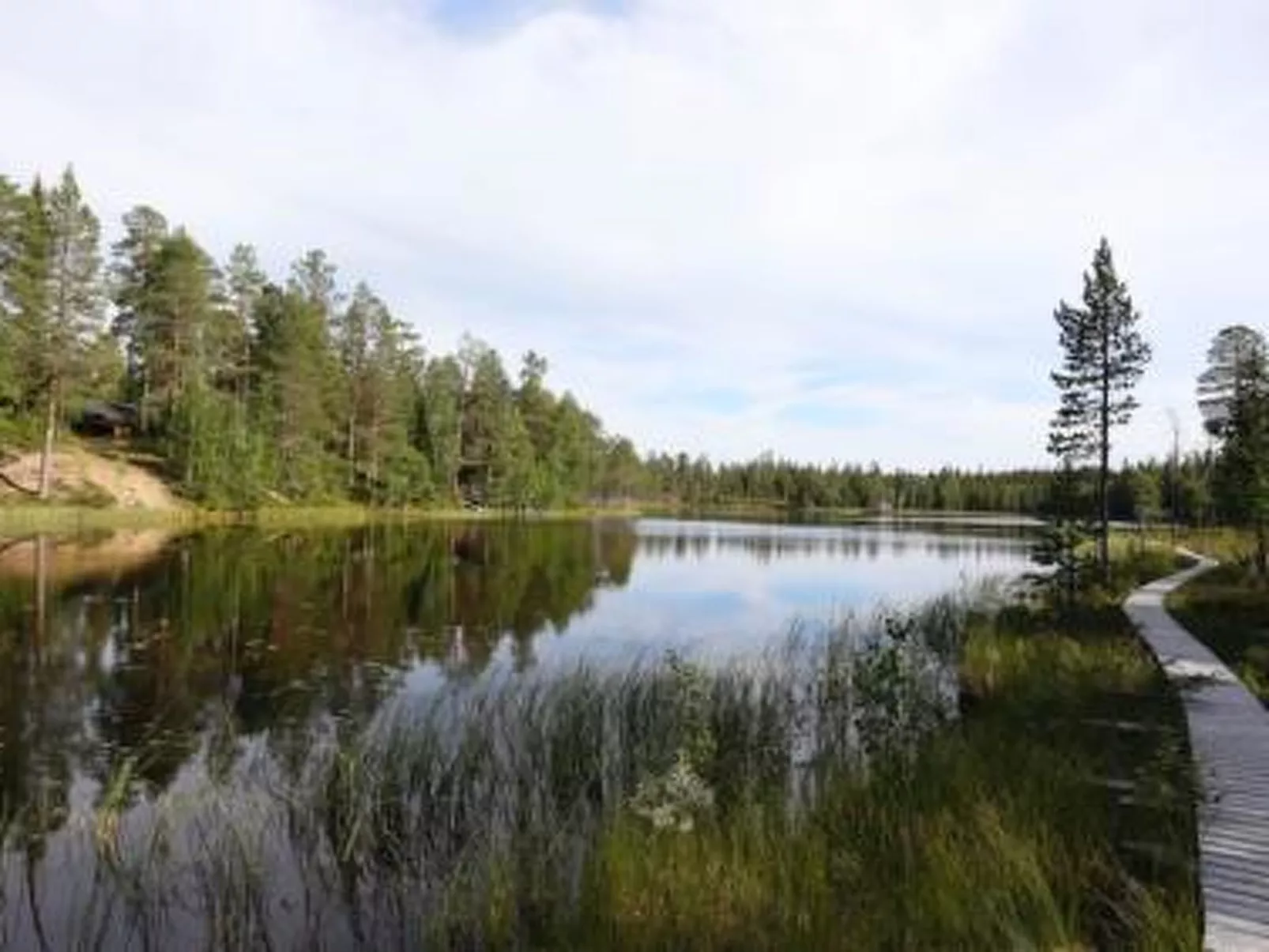 Metsä-luosto-Dehors