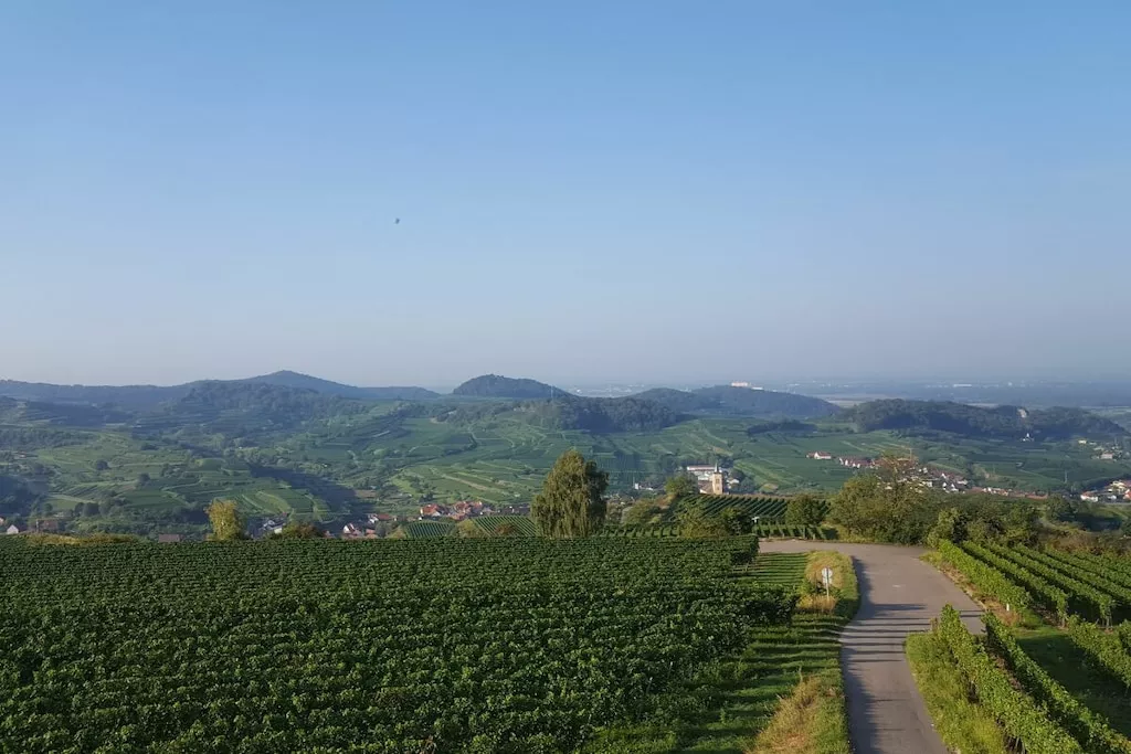 289493-Nicht getaggt