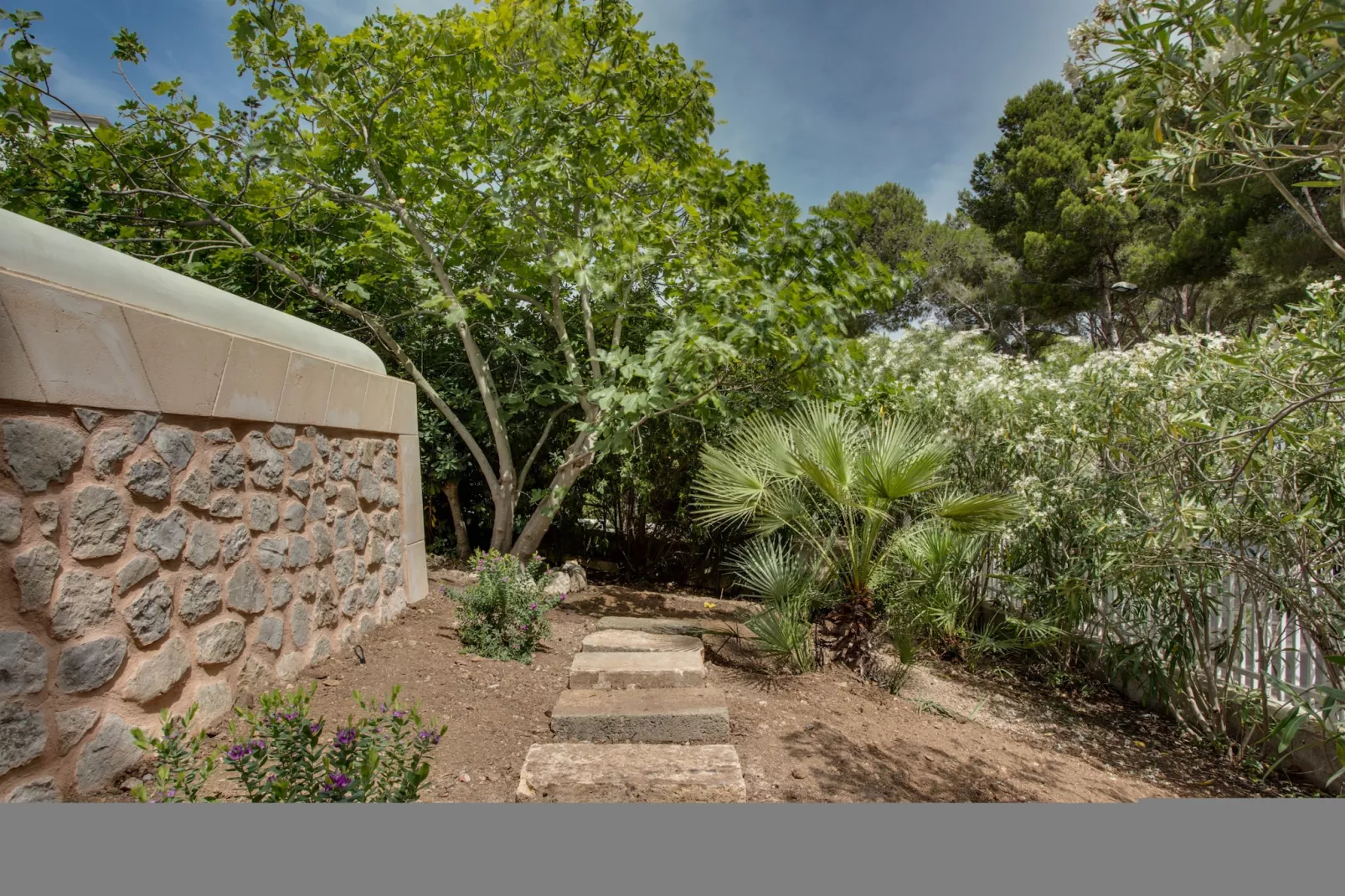 Villa Cala Padri-Gardens summer