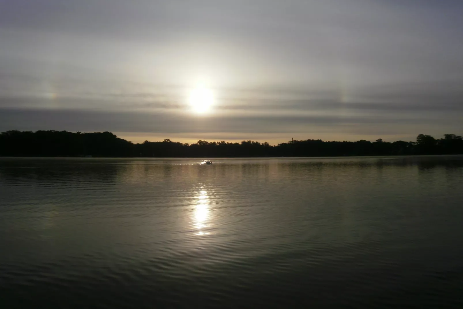 Ferienhäuschen in Schwerin-Areas summer 1km