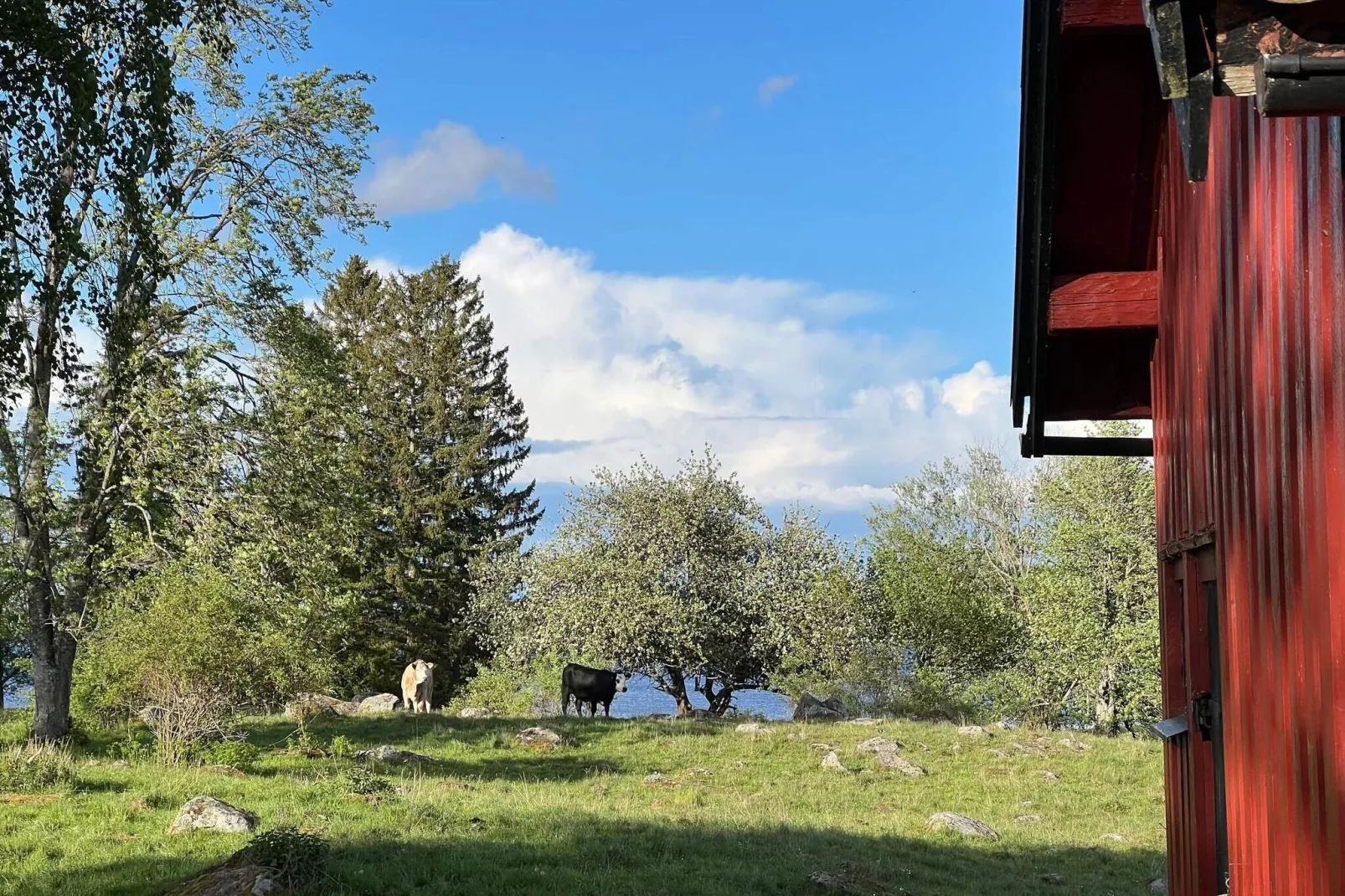 6 Personen Ferienhaus in HOVA-By Traum-Nicht zugeordnet