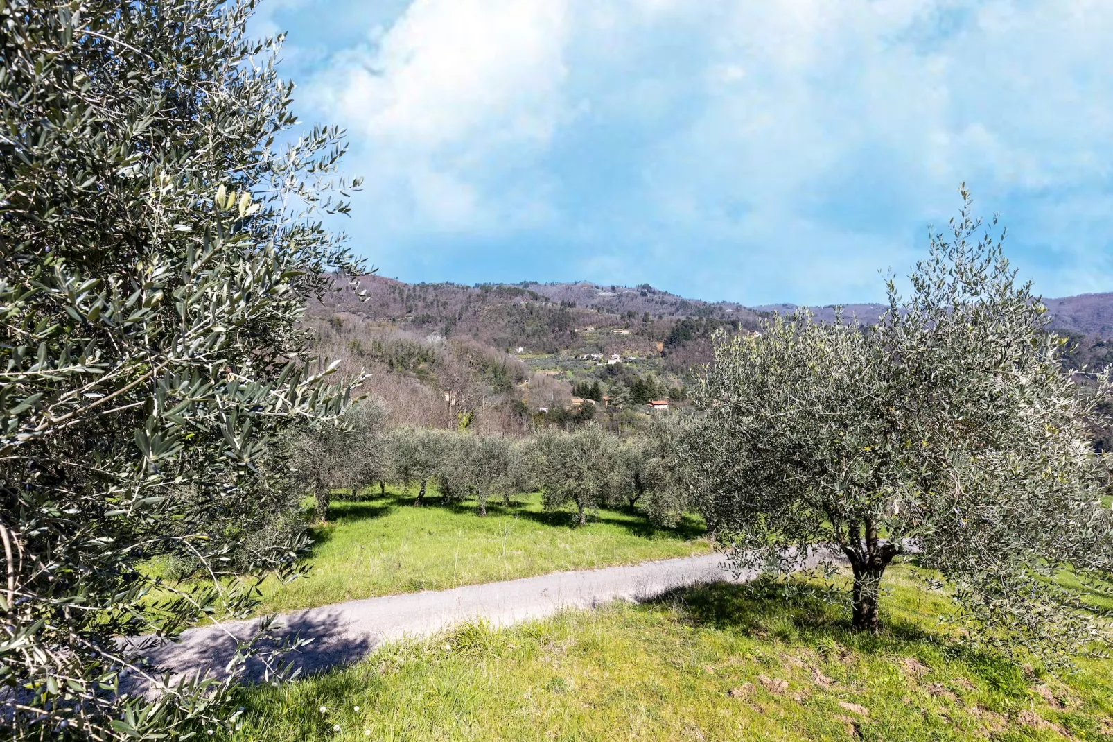 Casa di Lavanda-Gebiete Sommer 1 km