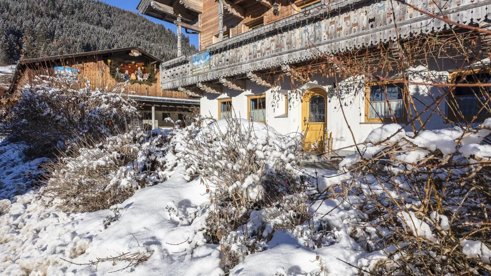 Katharina I-Exterior winter