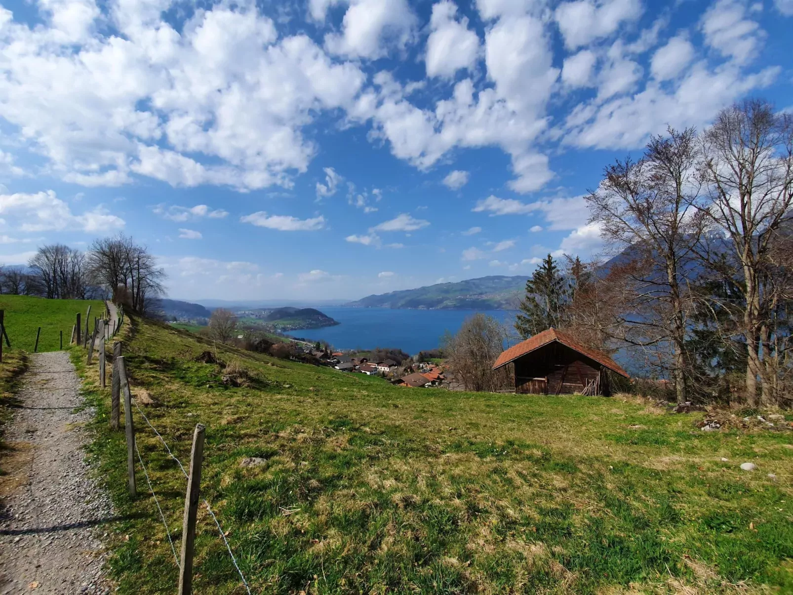 Panoramaferienwohnung Waldkircher-Draußen