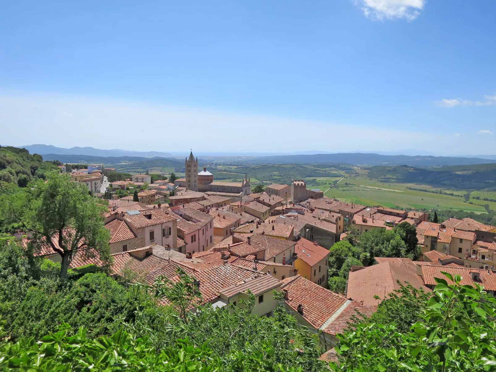 Rosmarino-Area