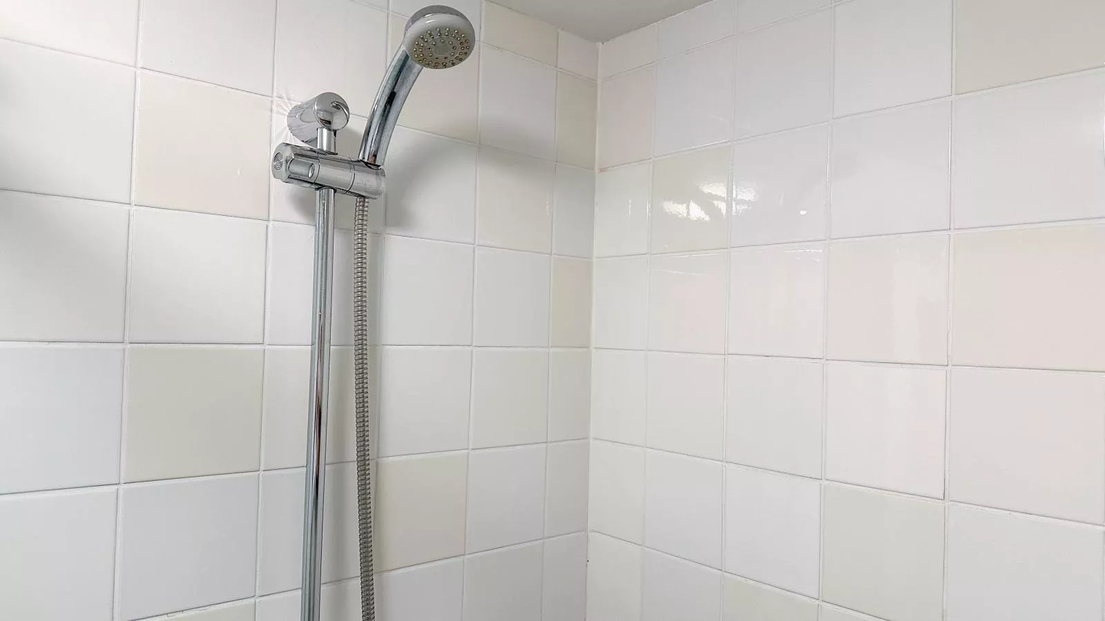 Biesboschhuisje-Salle de bain