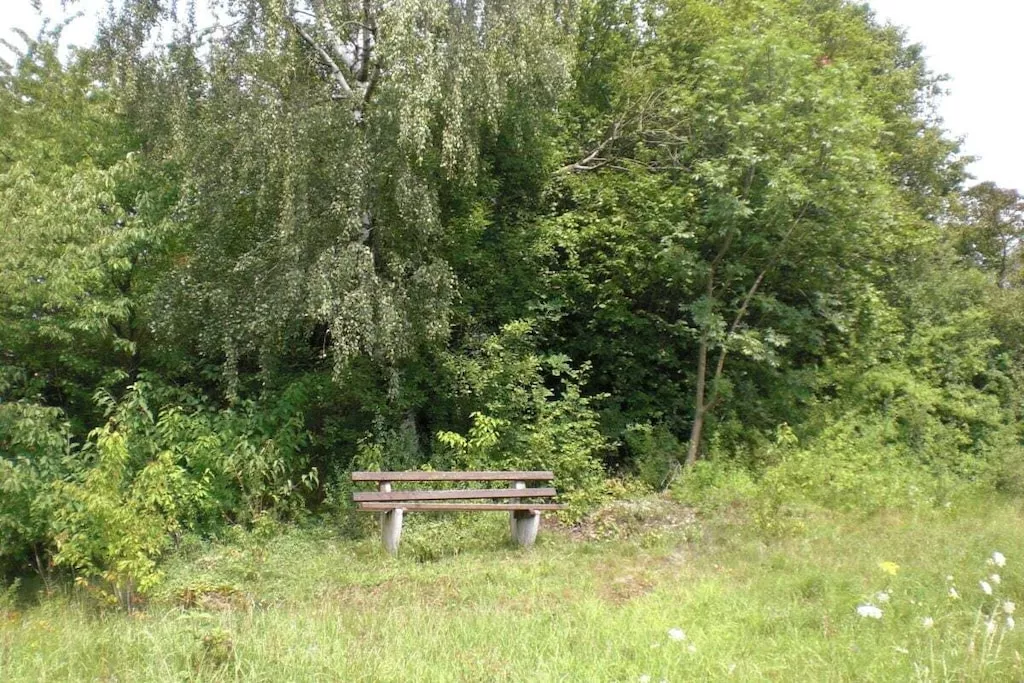 151619-Nicht getaggt