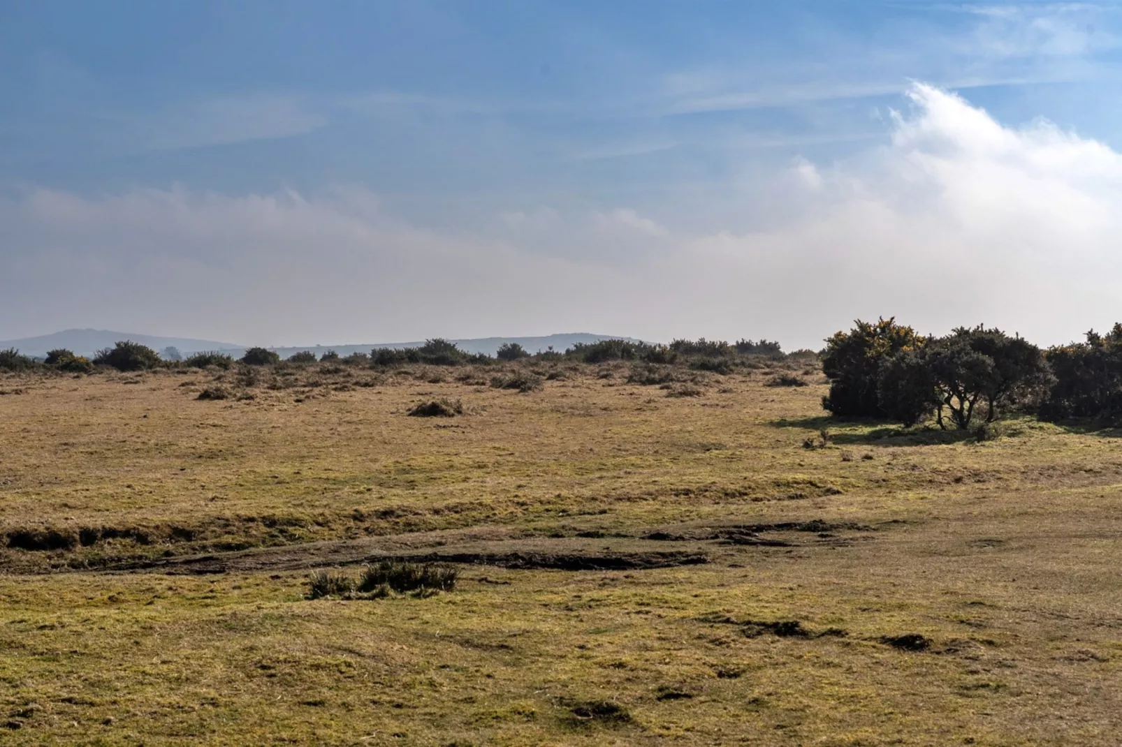 Jubilee Cottage at Bodmin Moor-Outdoor