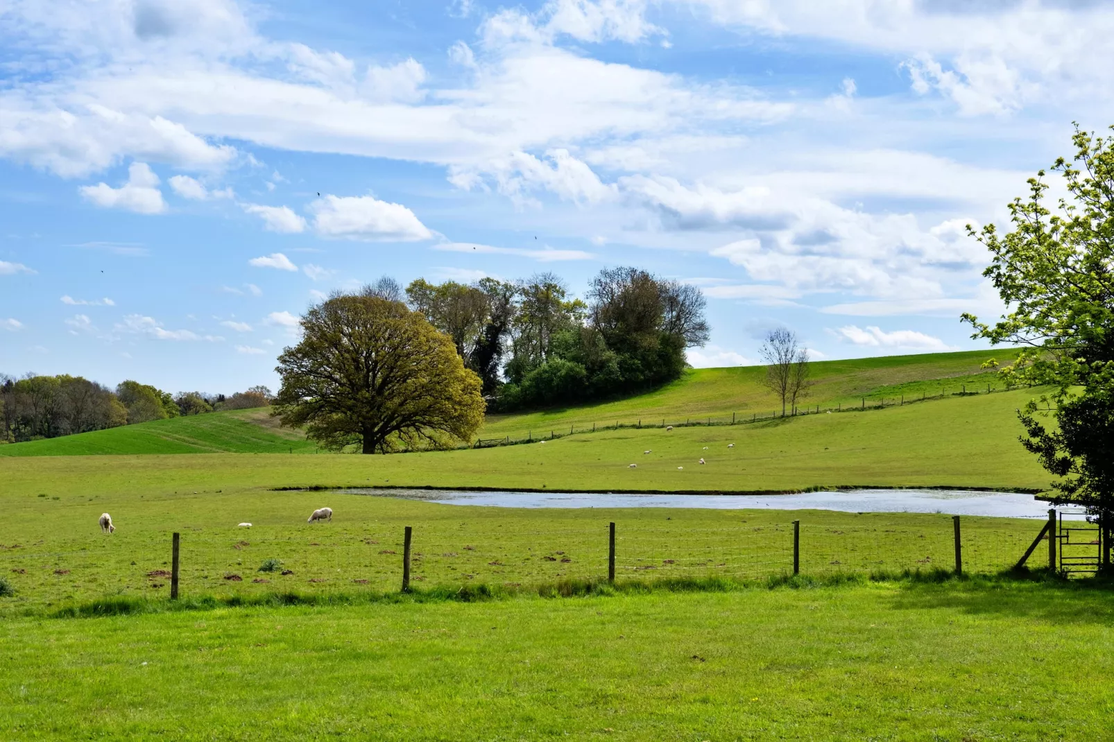 Hay and Hedgerow Glamping-Gardens summer