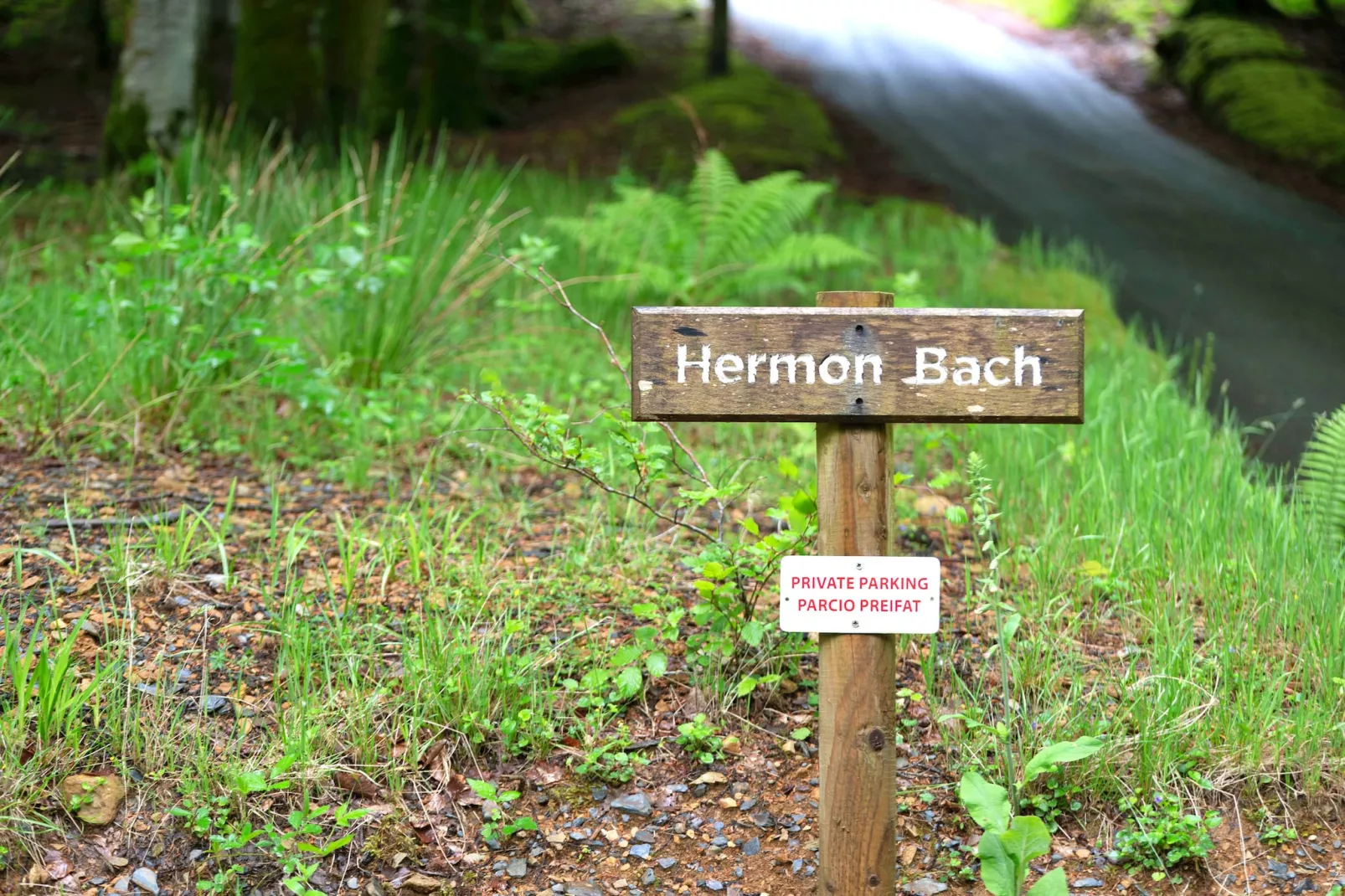 Hermon Bach-Gardens summer
