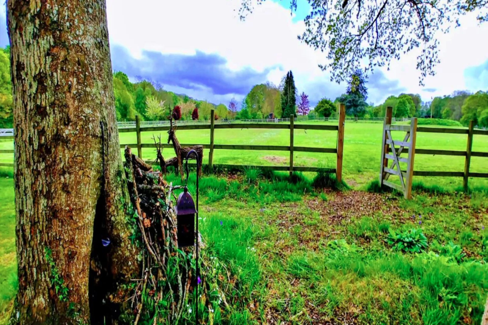 Shepherd's Hut at Hilltop Farm-Outdoor