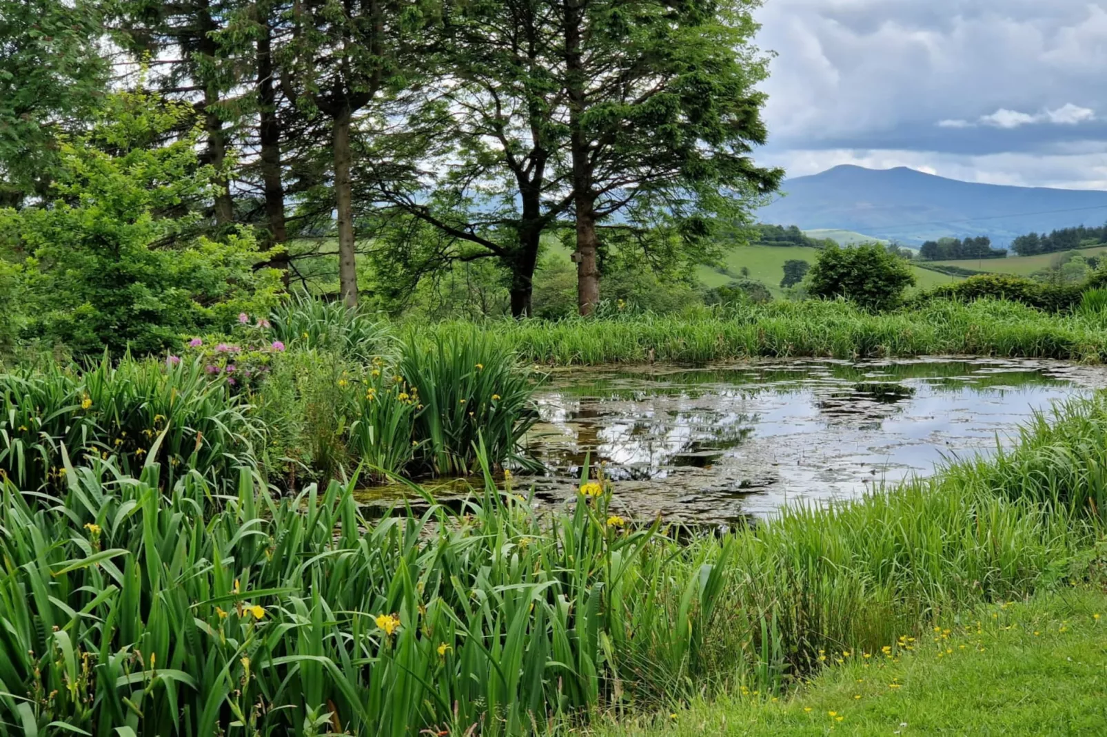 Coygen Cottage-Outdoor