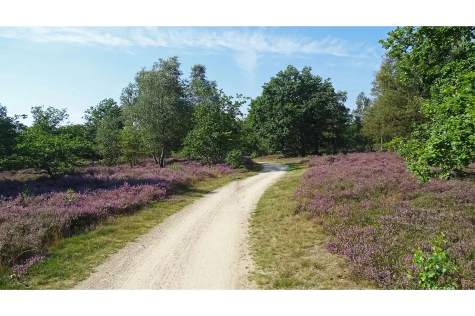 4-persoons stenen bosvilla-Areas summer 5km