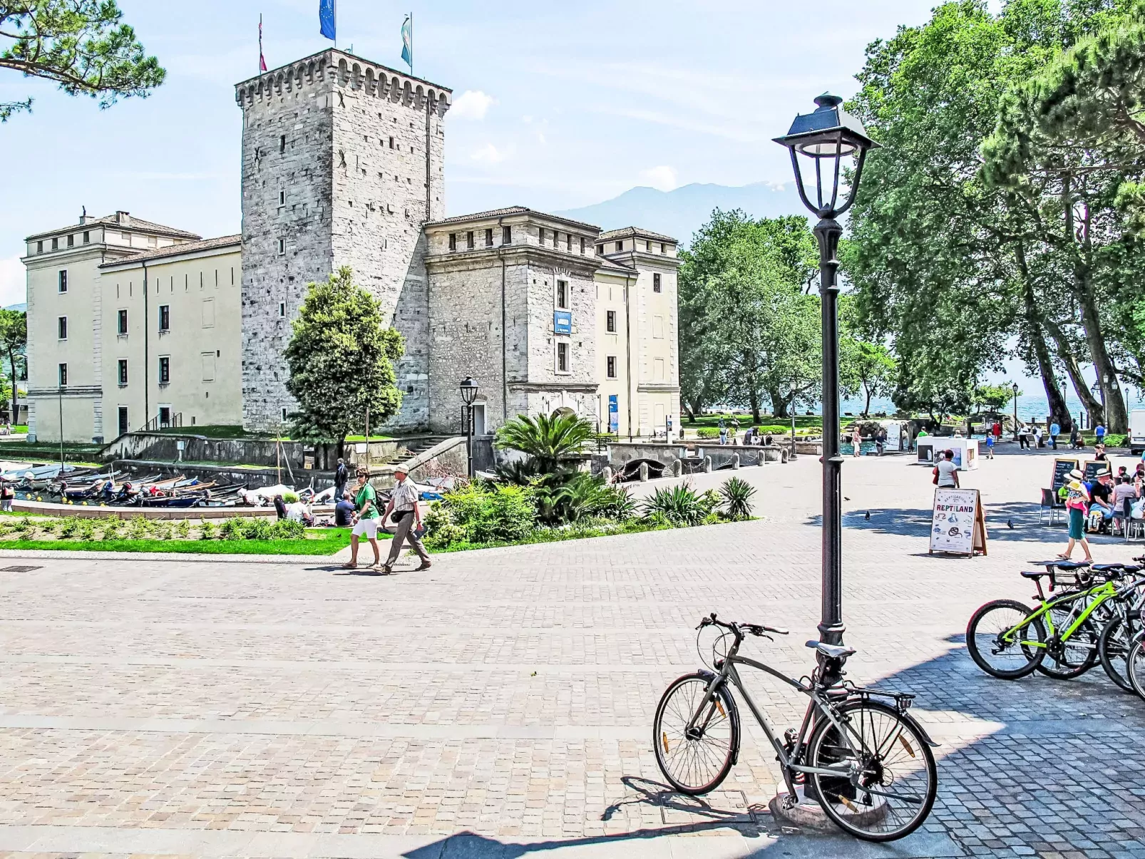 Calicantus - Nespolo-Area