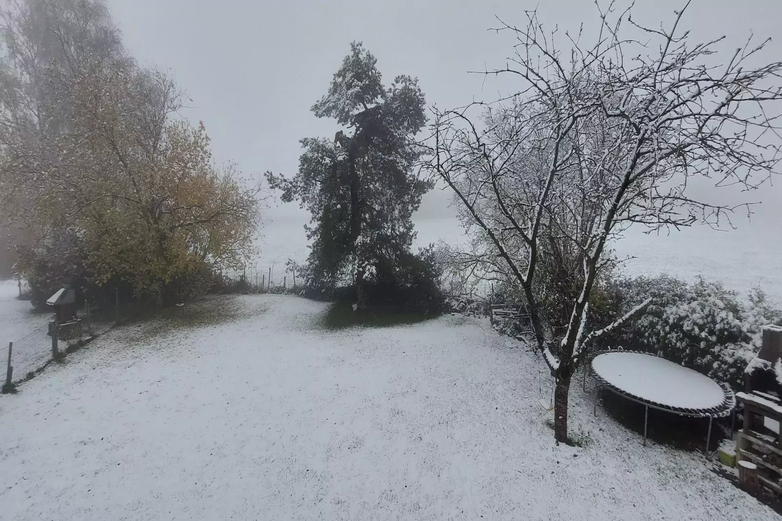 Ardennes Bleu 4 pers maximum-Garden winter