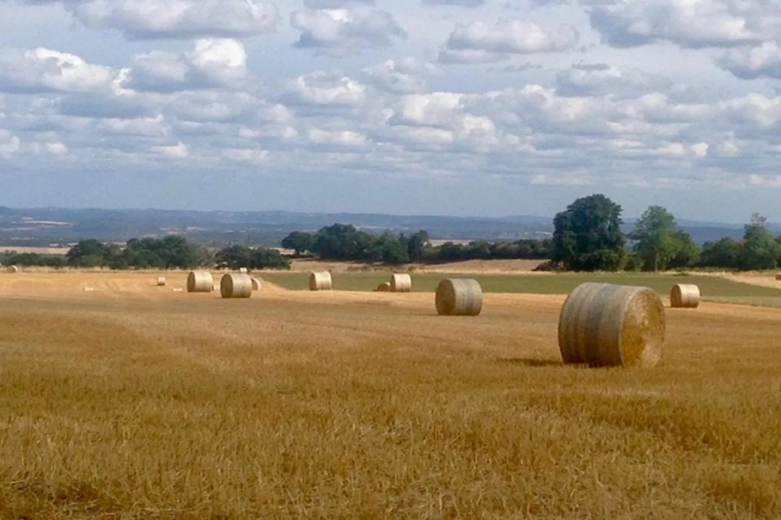 La Vieille Ferme-Aussicht Sommer