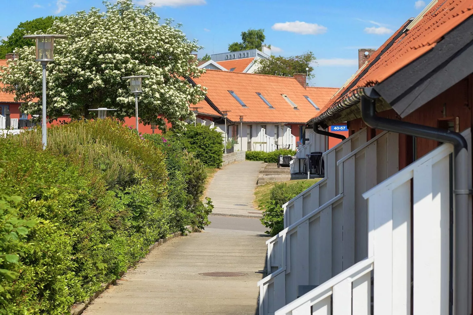 3 room w/seaview-PLUS-Aussicht