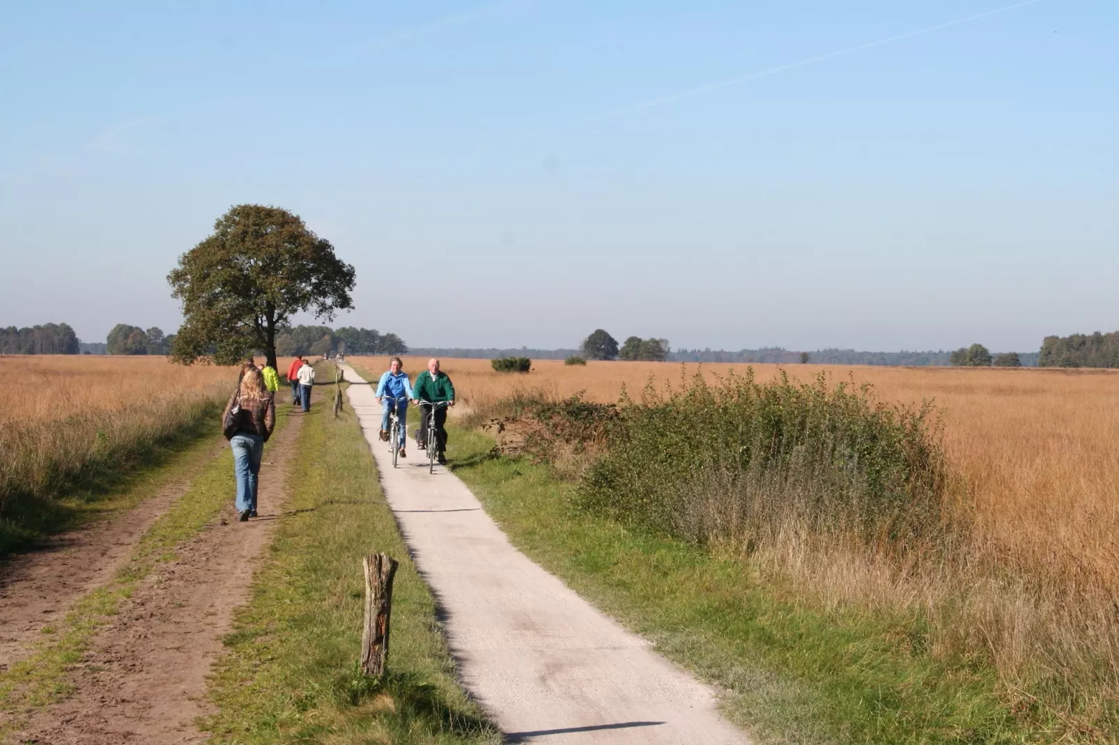 Marke van Ruinen 2-Areas summer 5km