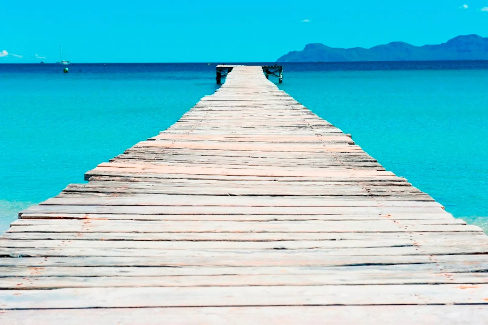 Al Pujol-Areas summer 5km