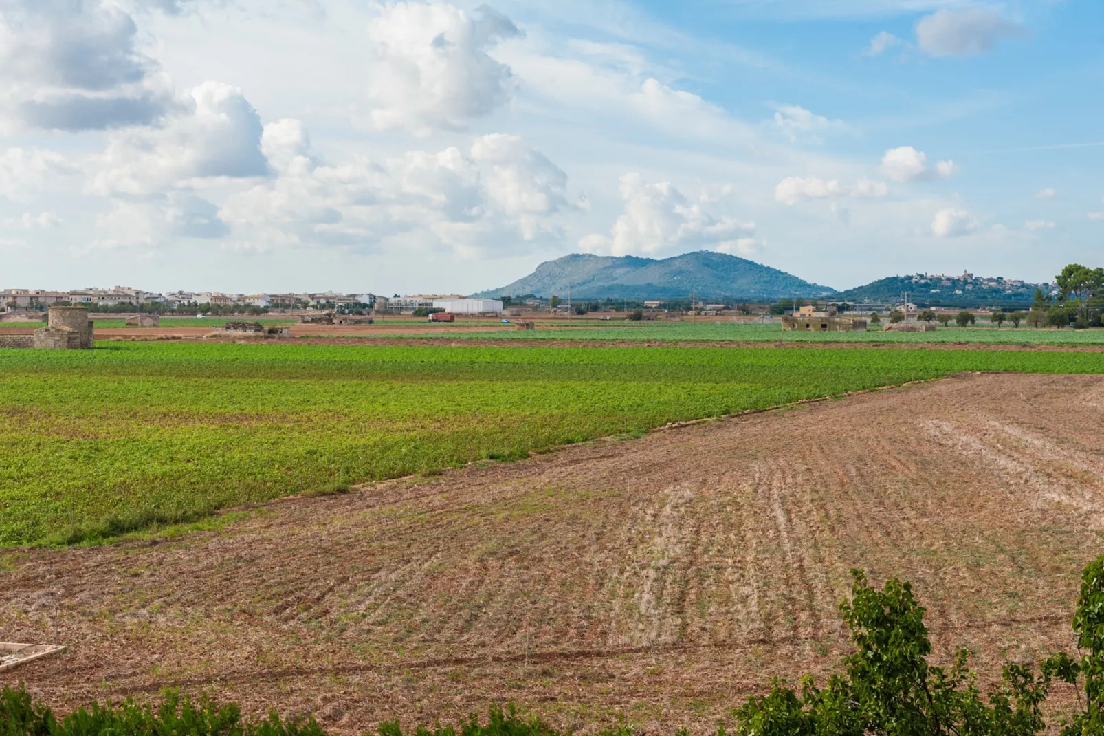 Can PuÇa (sa Pobla)-Image-tags.