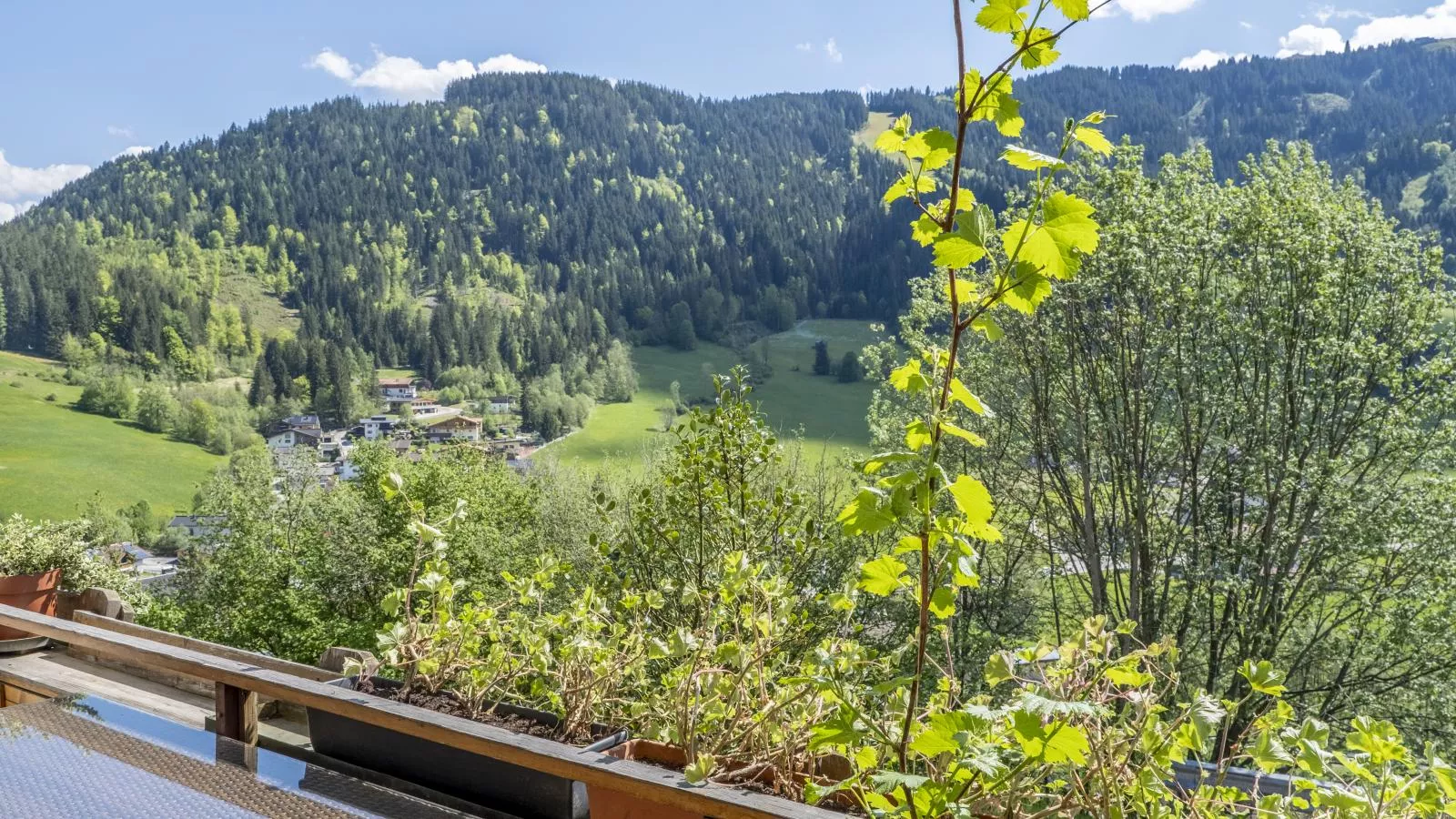Berghof-Aussicht Sommer