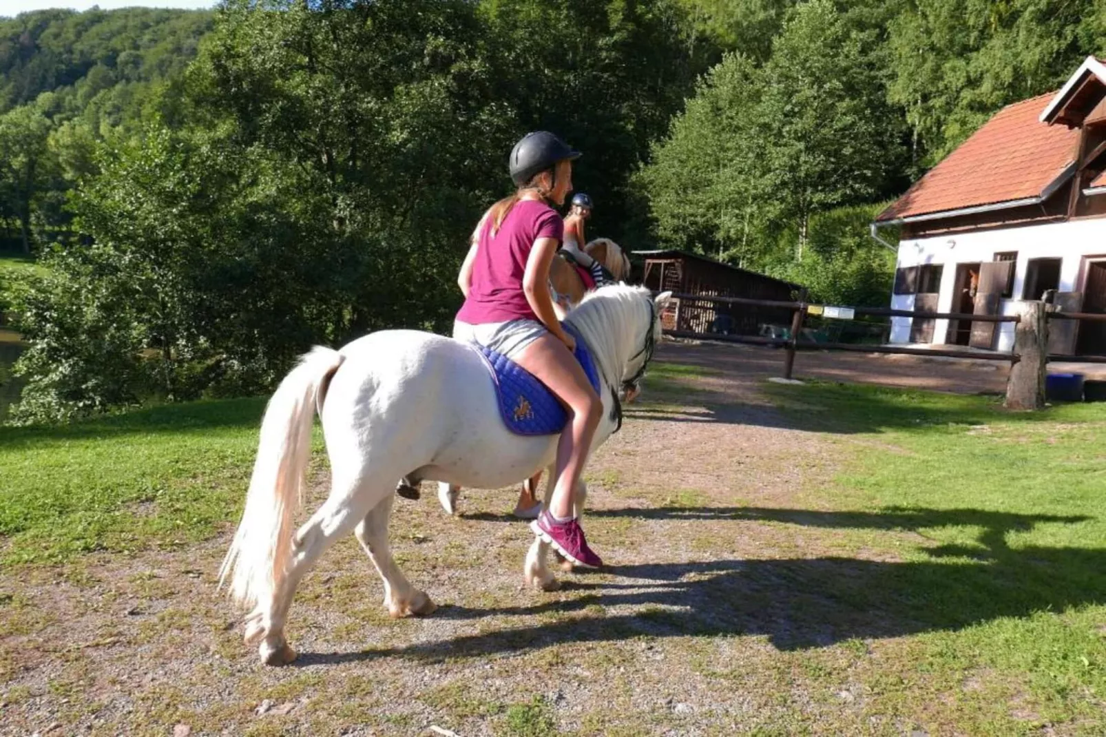 Green Valley Park 1-Areas summer 5km