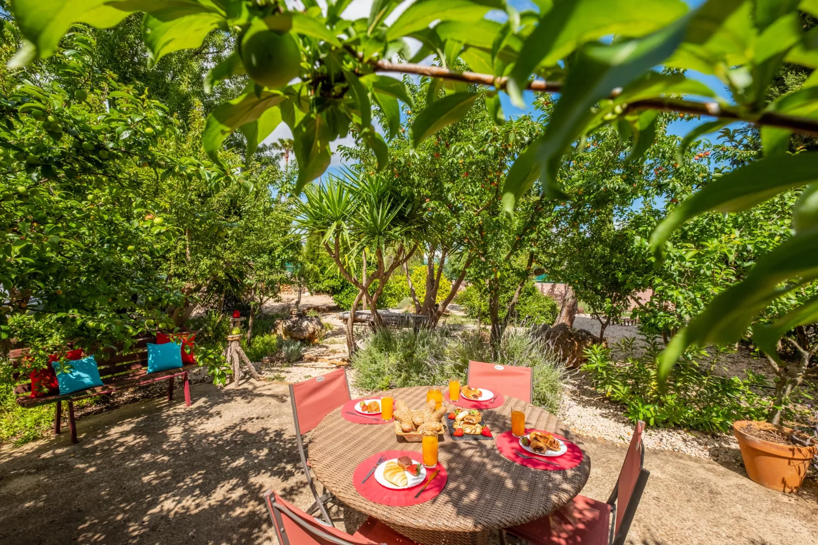 Villa Quinta do Mocho-Gardens summer