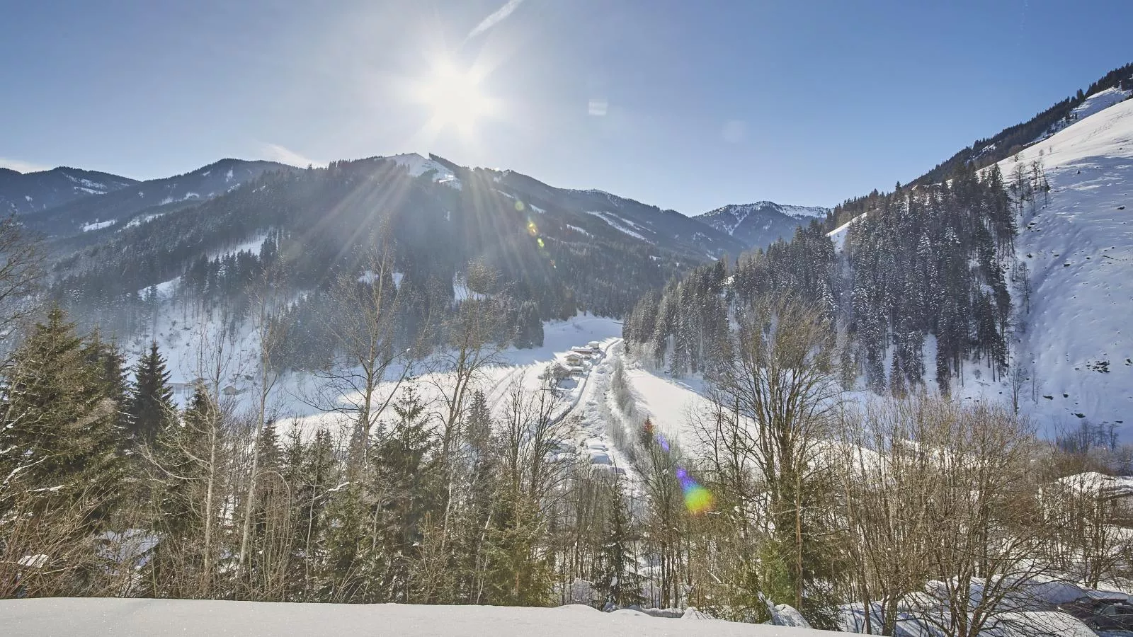 Künstler-View winter