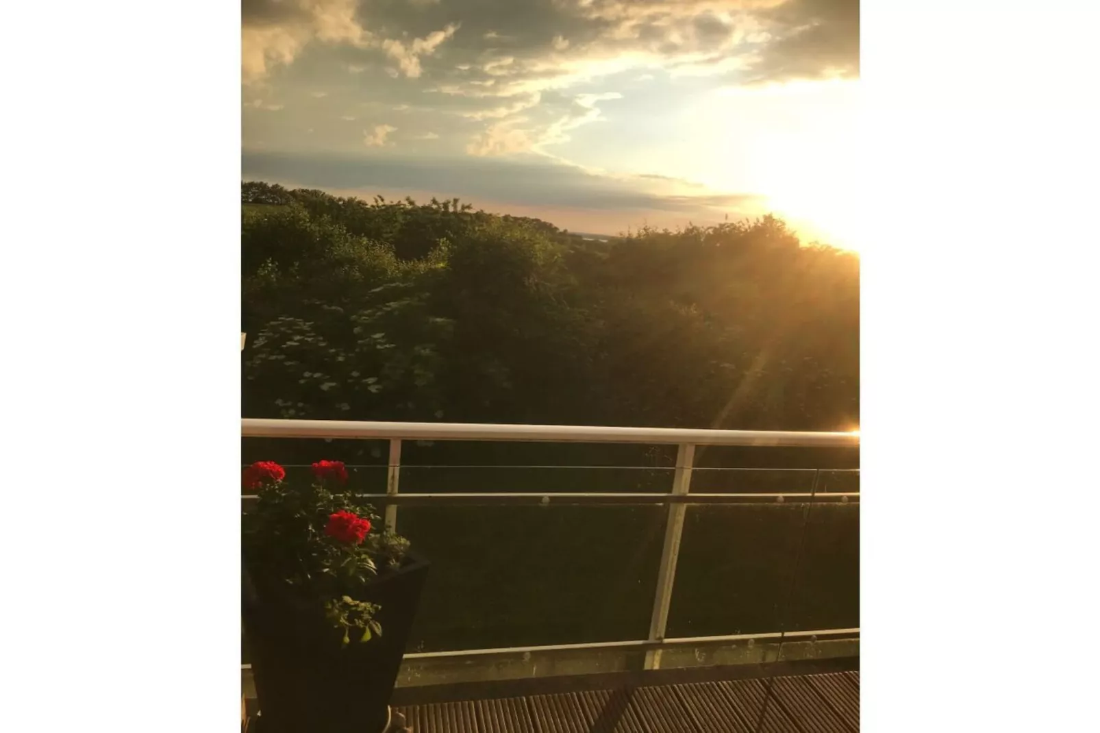 109068-Aussicht Sommer